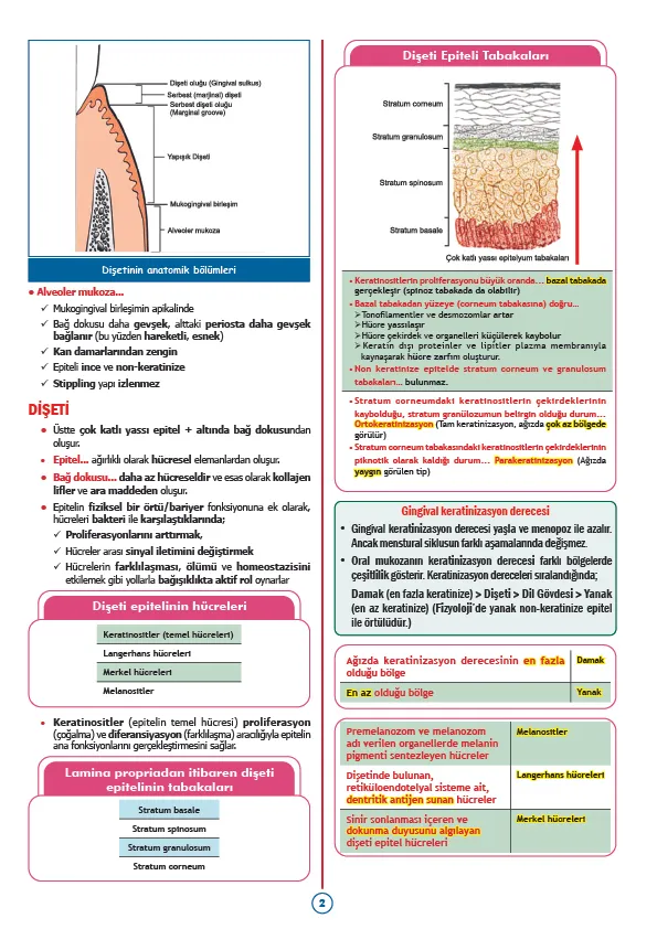 Dahiliye Konu Kampı - 2