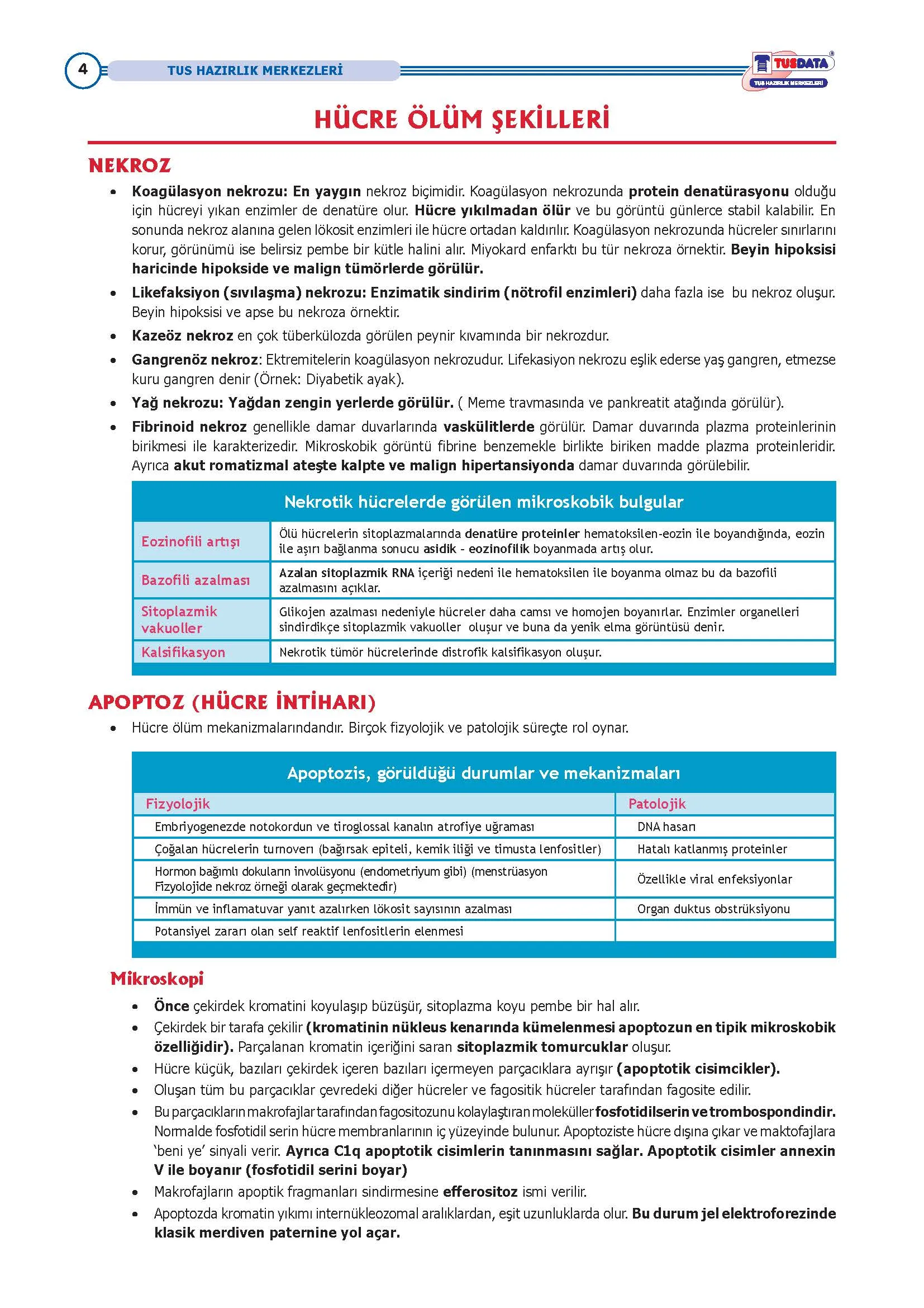 ANATOMİ - 2